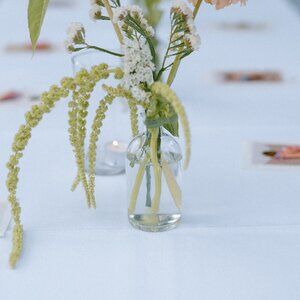 16 bud vases + jars for flowers, weddings, events